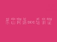 乐山网络seo培训证，专业seo优化