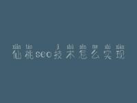 仙桃seo技术怎么实现，seo使用教程