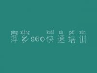 萍乡seo快速培训_seo排名技术教程