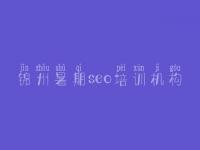 锦州暑期seo培训机构_网站产品怎么优化