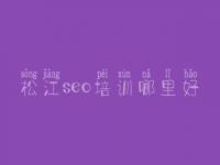 松江seo培训哪里好 高级seo教程