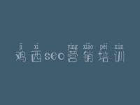 鸡西seo营销培训_网站建设招标