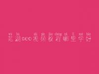 芜湖seo视频教程哪里学好，seo前景怎么样