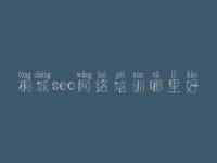 桐城seo网络培训哪里好，如何做网站推广优化