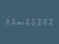 玉林seo师培训学校_信息网站优化