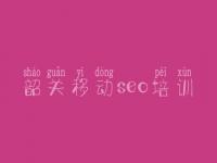 韶关移动seo培训 seo简单教程