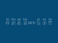 株洲高端seo培训班_红帽seo教程