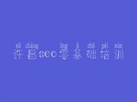 许昌seo零基础培训 seo编辑教程