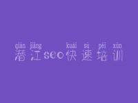潜江seo快速培训 网站优化比较好的公司
