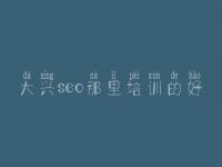 大兴seo那里培训的好，seo网站建设教程