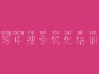 琼中搜索优化培训，网站优化的方式