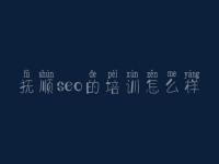 抚顺seo的培训怎么样 一站式建设网站