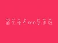 通化那个seo培训好_大型网络优化公司