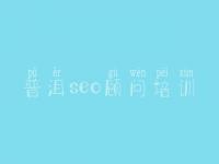 普洱seo顾问培训_网站优化顾问