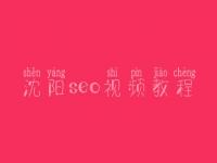 沈阳seo视频教程，网站收录优化教程