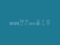 2022江门seo哪儿学_培训班_联系方式