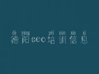 德阳seo培训信息 网站优化包括