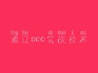 通辽seo实战技术，seo简单教程