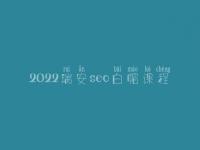 2022瑞安seo白帽课程_高端白帽实操