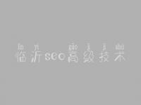 临沂seo高级技术 seo优化公司