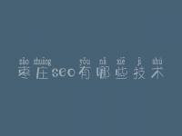 枣庄seo有哪些技术_公司手机网站建设