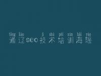 通辽seo技术培训海瑶，seo网站关键词优化公司