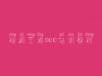 杨浦王通seo培训教程 怎样搜索引擎优化