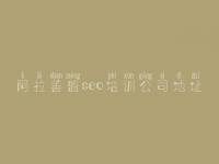 阿拉善盟seo培训公司地址_seo建站教程