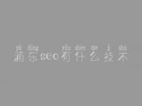 浦东seo有什么技术 网站标题优化