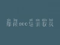 鄢陵seo培训收获_初级seo教程