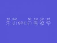 乐山seo白帽教学_高端白帽实操