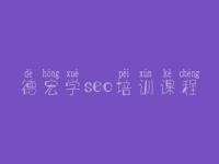 德宏学seo培训课程_网站建设平台