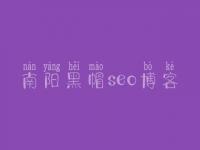 南阳黑帽seo博客，网站的优化哪个好