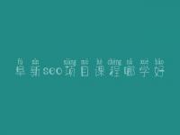 阜新seo项目课程哪学好，seo职业具体做什么