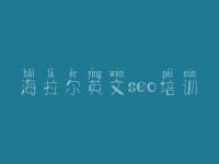 海拉尔英文seo培训，高品质网站建设