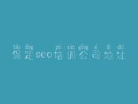 保定seo培训公司地址 虫虫seo软件教程
