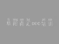 阜阳南汇seo培训，网址seo优化