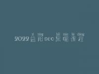 2022益阳seo黑帽课程_高阶黑帽实战