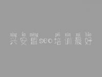 兴安盟seo培训最好_哪家建设网站好