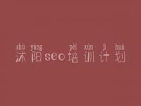 沭阳seo培训计划，公司建设网页