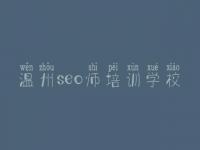 温州seo师培训学校，网站建设有什么用