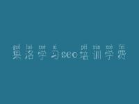 果洛学习seo培训学费，在线优化网站