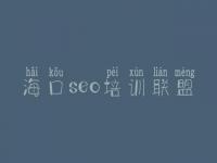 海口seo培训联盟 白帽seo教程