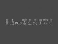 普洱seo专业培训中心 手机网站建设的公司