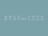 南平速贝seo实战培训，网站产品怎么优化