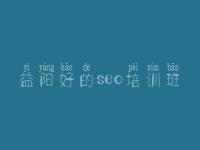 益阳好的seo培训班，seo教程吧