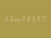 玉林seo学费得多少_服务到底怎么样