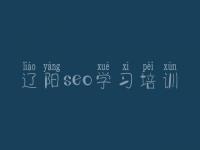 辽阳seo学习培训_seo实战视频教程