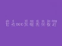 甘孜seo黑帽视频教程_一流黑帽实战