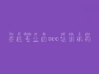 娄底专业的seo培训机构_网络优化如何